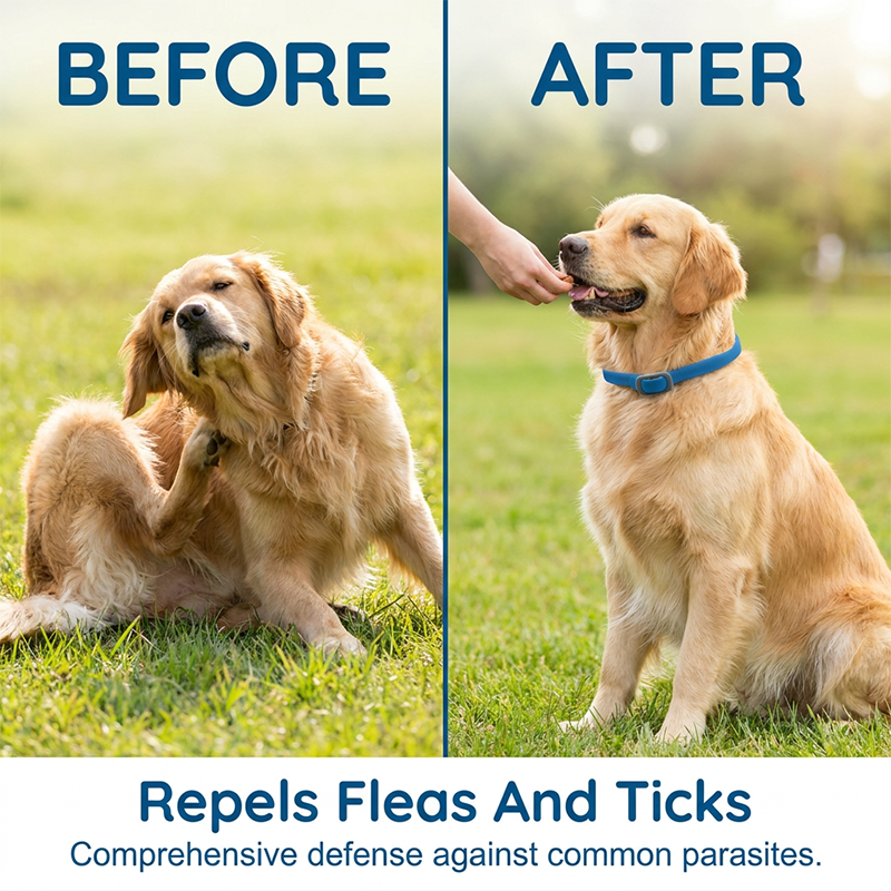 🎉 FLASH DEAL 45% OFF🐶🐱 – Plant-Based Flea &amp; Tick Collar 🌿 Up to 8 Months Protection, Slow-Release Oils, Water-Resistant 💦 Repels Mosquitoes &amp; Larvae, Comfortable &amp; Safe for Daily Wear 🐕