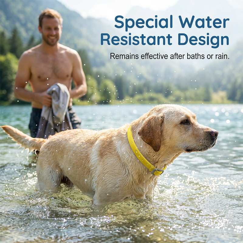 🎉 FLASH DEAL 45% OFF🐶🐱 – Plant-Based Flea &amp; Tick Collar 🌿 Up to 8 Months Protection, Slow-Release Oils, Water-Resistant 💦 Repels Mosquitoes &amp; Larvae, Comfortable &amp; Safe for Daily Wear 🐕